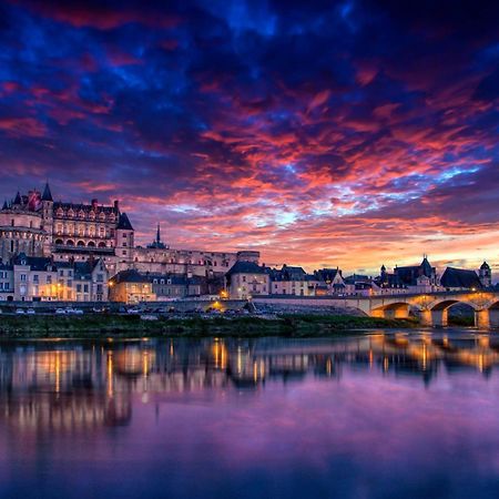 Apartmán Terrasse Sur La Tour Garconnet Amboise Exteriér fotografie