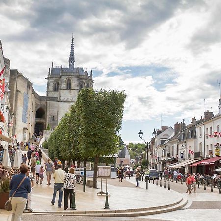 Apartmán Terrasse Sur La Tour Garconnet Amboise Exteriér fotografie