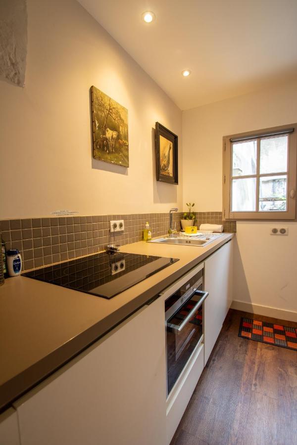 Apartmán Terrasse Sur La Tour Garconnet Amboise Exteriér fotografie