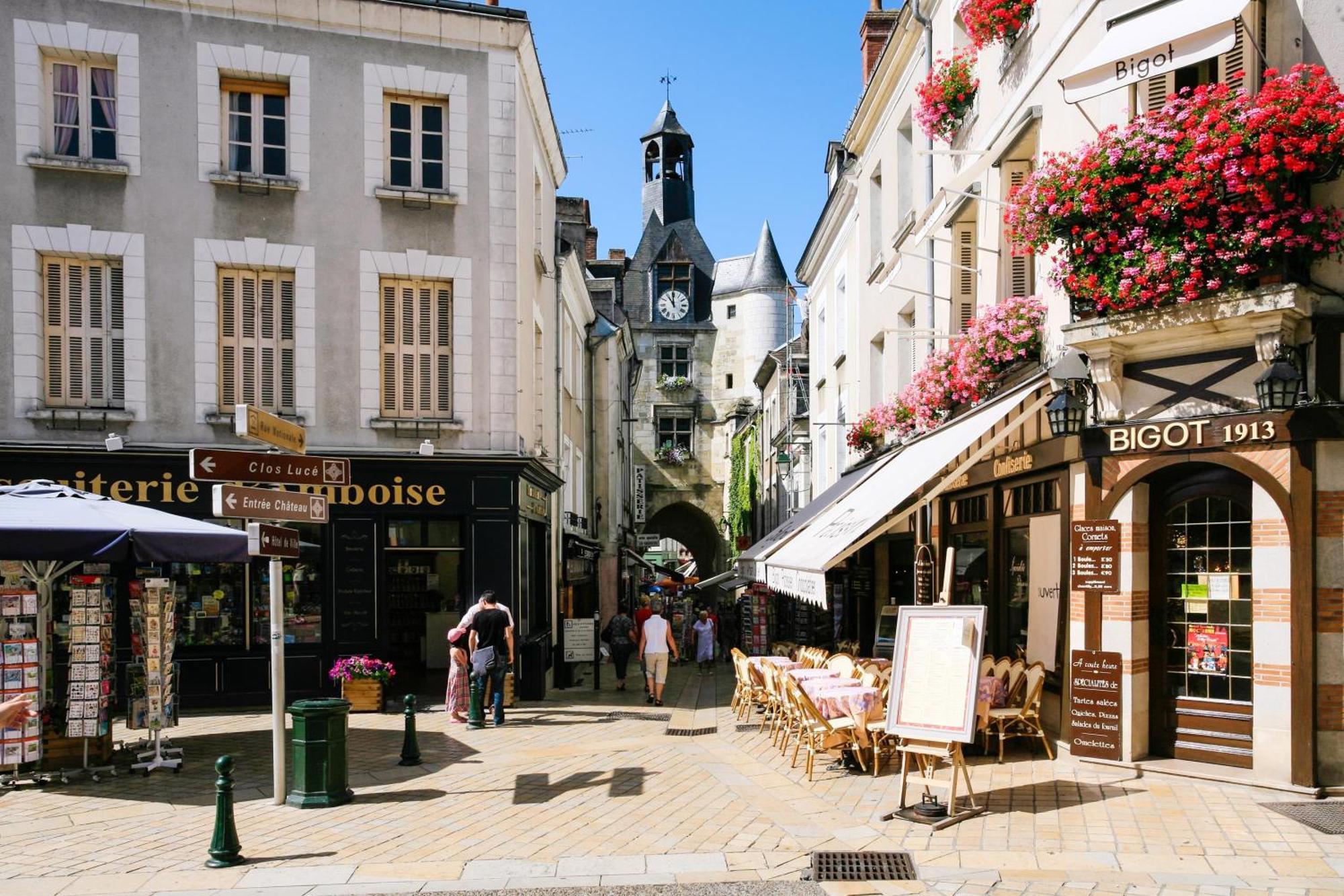 Apartmán Terrasse Sur La Tour Garconnet Amboise Exteriér fotografie